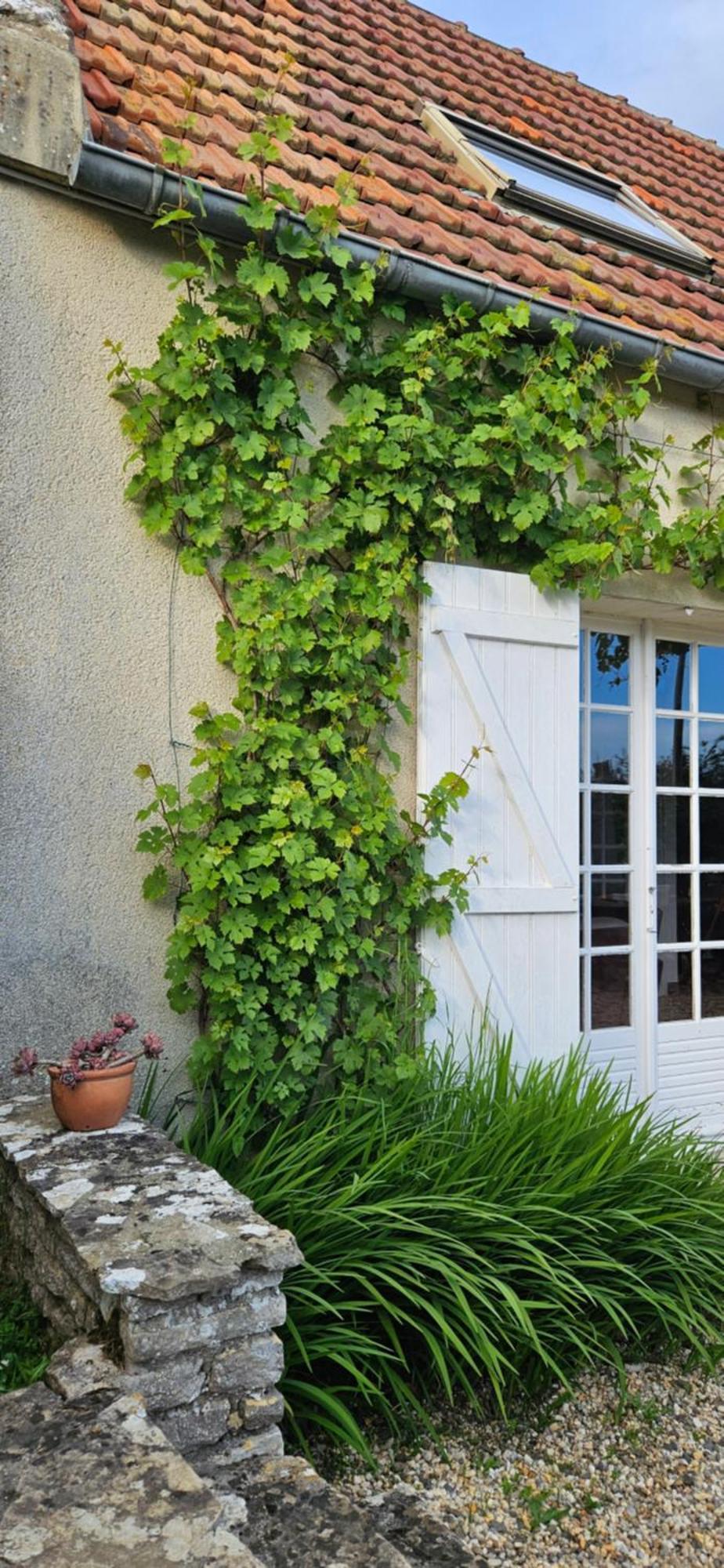 La Petite Chouette Villa Saint-Côme-de-Fresné Eksteriør billede